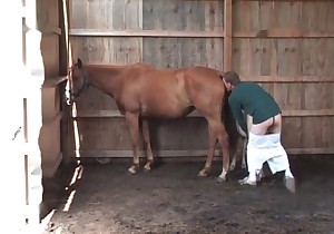 Dirty bestiality sex of a sweet small pony