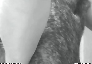 Doggy is getting an amazing cock