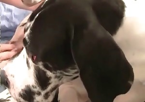 Dirty old man and his mutt