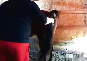 Hardcore bestiality fisting of a pony