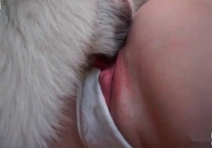 White panties slut gaped by a dog