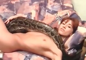 Snake in the bestiality action