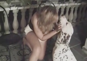 Animal sex action with a spotted pet