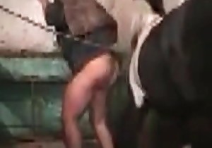 Good animal porn action from a nice angle