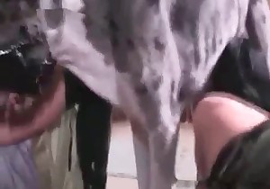 Awesome action with my lovely animal