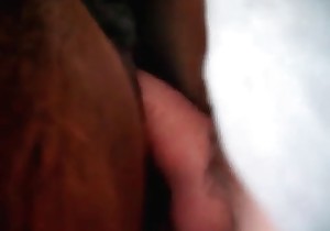 Good butt sex with a lovely horse