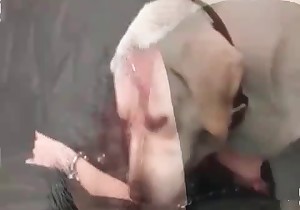 Doggy and filthy drunk zoophile