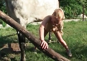 Stallion in the nice and filthy bestiality sex