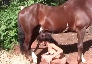 Mare is screwing hard a perverted zoophilic slut