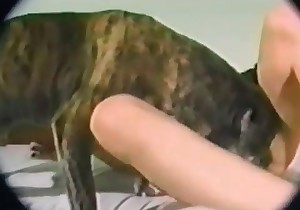 Doggy is getting in the nasty bestiality