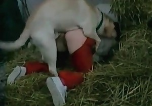 Adorable amateur bestiality action