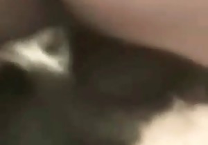 Dog is having a nice anal action