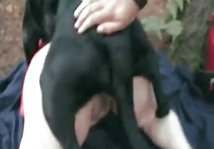 Good outdoor dog sex action