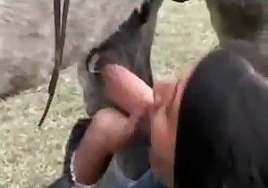 Stallion and innocent young zoophile