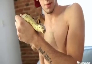 Great bestiality porn clip with a snake and guy