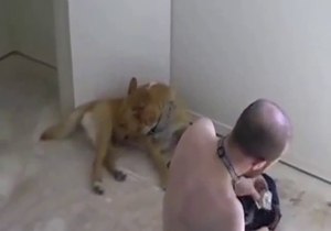 Great zoo sex with a round-assed zoophile