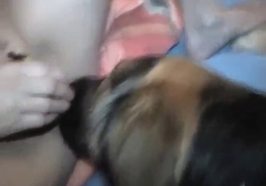Lady fucks her vag to arouse her dog at night