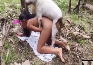 Hard bestiality sex in field, she tried to escape