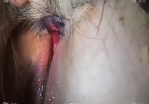 Hard zoophile porn with doggystyle in denim