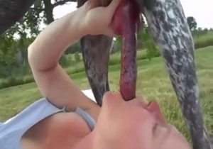 Uncensored dog sex clip with a sexy granny