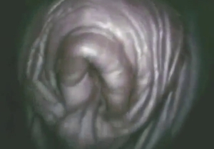 Amazing zoo piss close-up scene with teasing