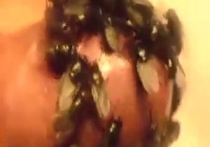 Smegma and serious stench in a cock-fly video