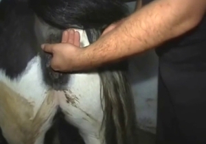 Mare with a sensitive pussy gets fingered on cam