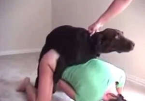 Horny girl dressed in green fucks that doggo