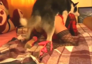 Anal bestiality sex with lady getting power-fucked