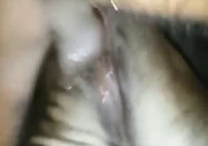 Cow-featuring zoo sex with doggystyle and more