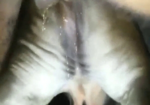 Cow-featuring zoo sex with doggystyle and more