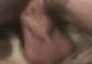 Sweet close-up bestiality with a dog