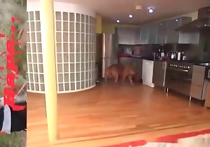 Zoophile is lying under her lovely beast
