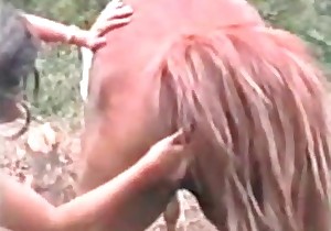 Stallion is getting fingered by a zoophile